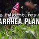 Illustration for article titled Diarrhea Planet went full Wrigley for a new iPete And Pete-/iinspired video